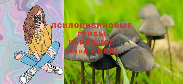 ГАЛЛЮЦИНОГЕННЫЕ ГРИБЫ Куйбышев