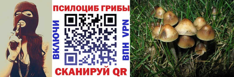 Псилоцибиновые грибы GOLDEN TEACHER  Радужный 