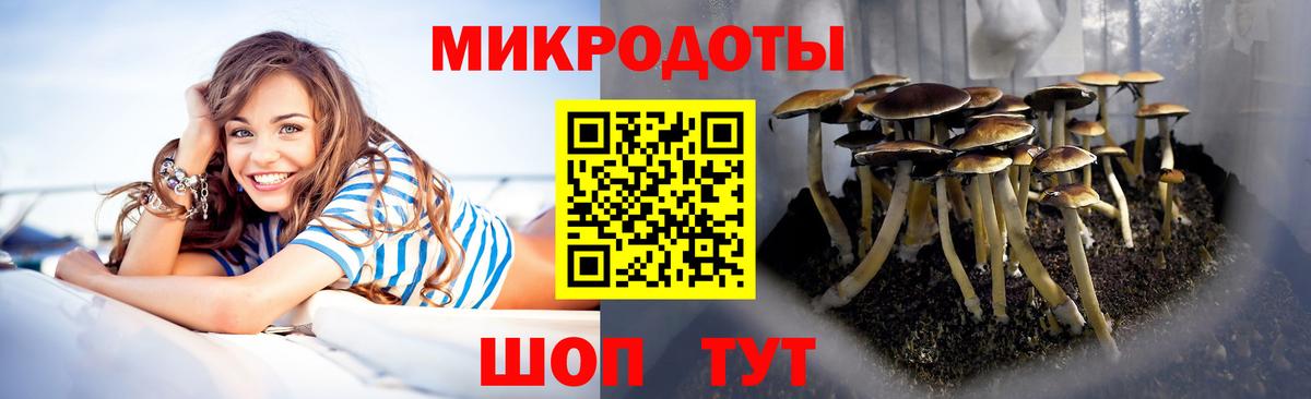 Псилоцибиновые грибы прущие грибы  Вход с VPN  Радужный 