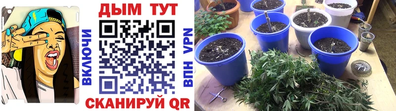 OMG tor  darknet какой сайт  Радужный  МАРИХУАНА ГИДРОПОН  хочу наркоту 